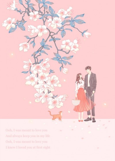 ������½ڤ�